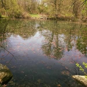 Meet your Posher, Adrienne